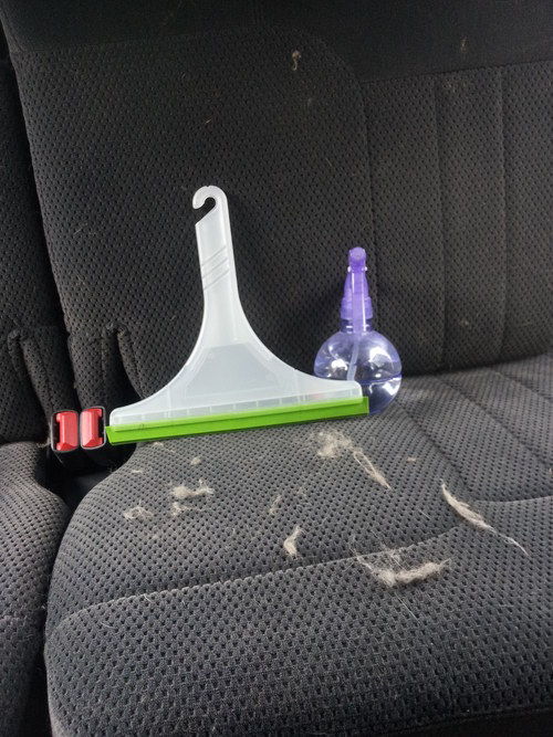 Easily remove dog hair from car seats using a squeegee