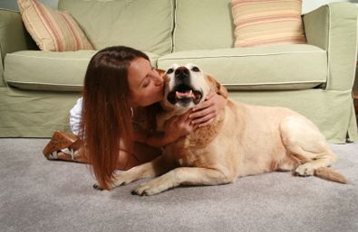 Use baking soda to get dog urine out of carpet