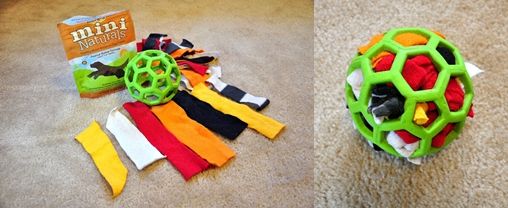 Fun activity for dogs who like to tear apart their stuffed animal toys