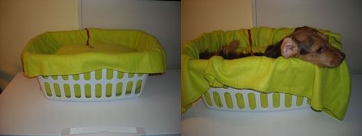 Make a Dog Bed Out of Laundry Basket