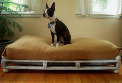 Luxury Pallet Dog Bed