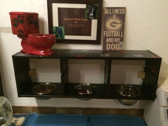 Pet Feeding Station Hack