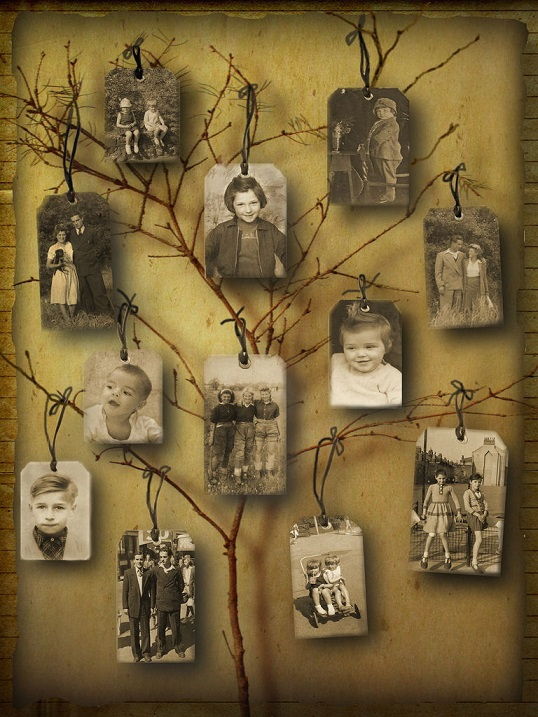 Reflection Family Tree