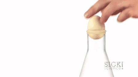 Egg in the Bottle Trick