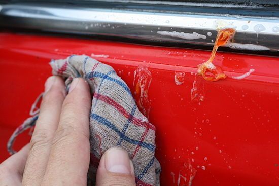 How to Remove Tree Sap From Your Car