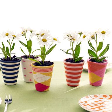 Sock Covered Planters