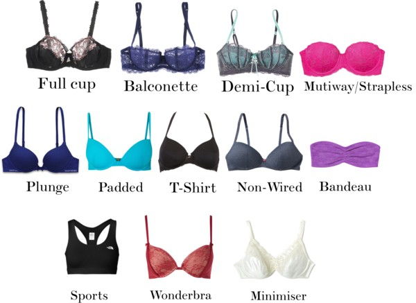 Even more bra types!