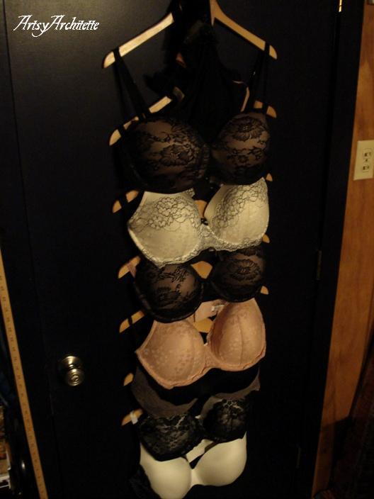 Hanging Bra Organizer