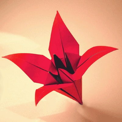 Paper Lily Flower