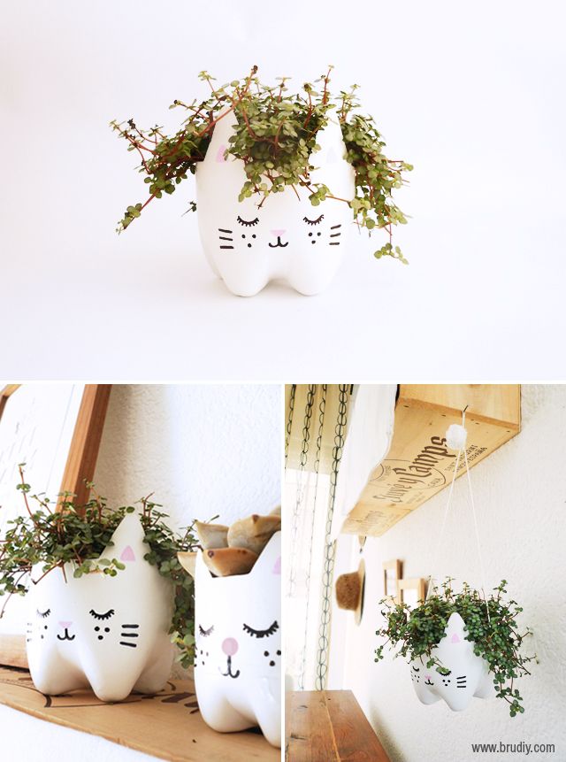 Adorable Planters Made of Plastic Bottles
