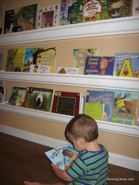 Rain Gutter Book Shelves
