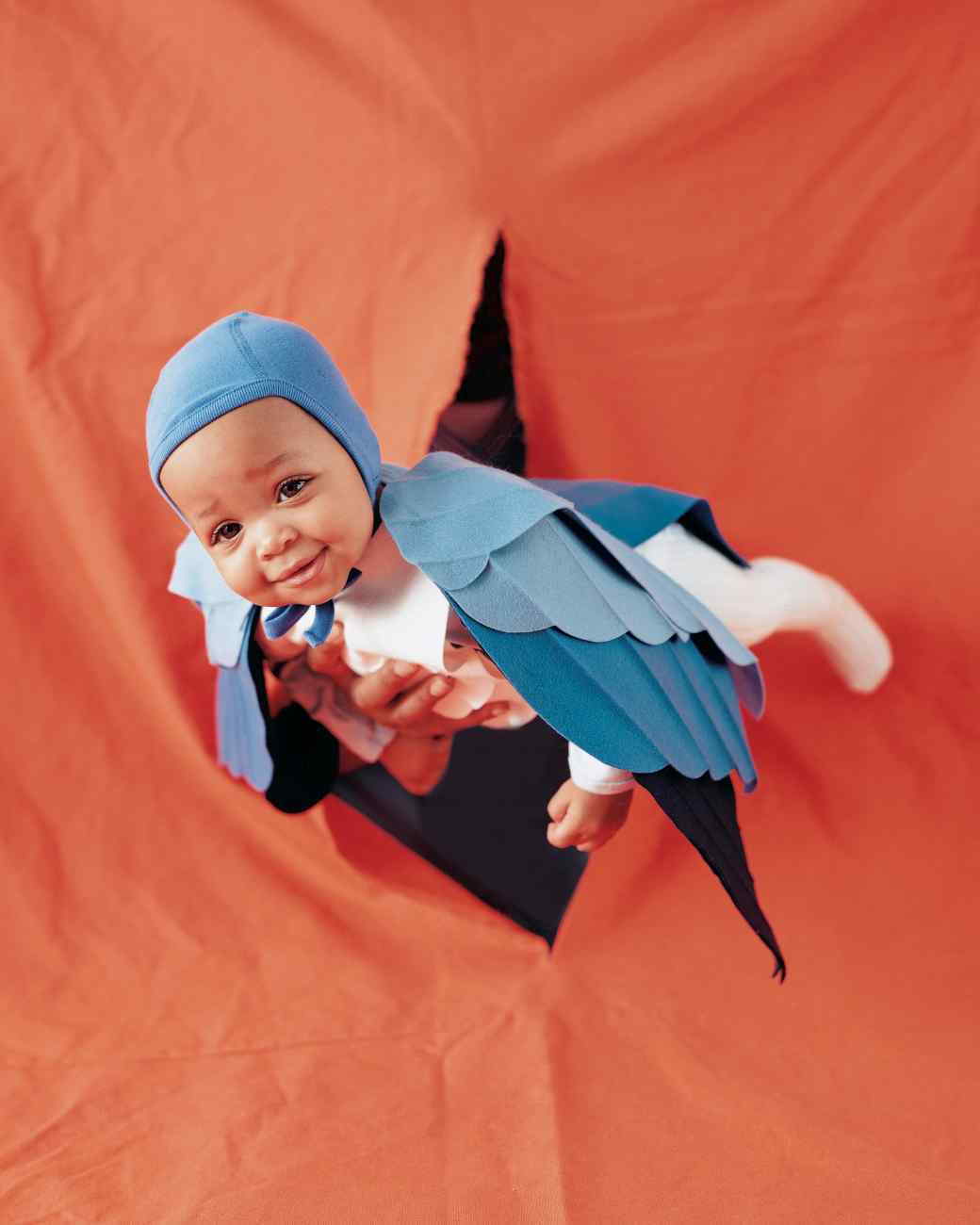 Bluebird Halloween Costume