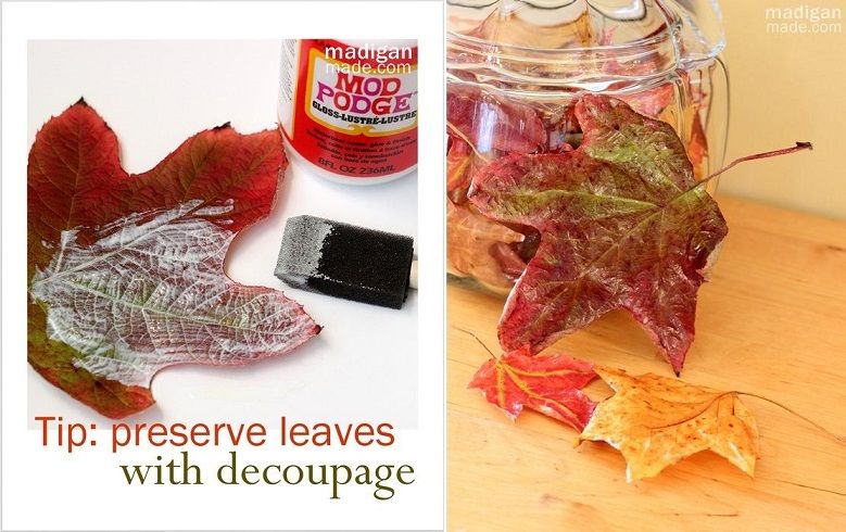 Preserve Leaves with Decoupage