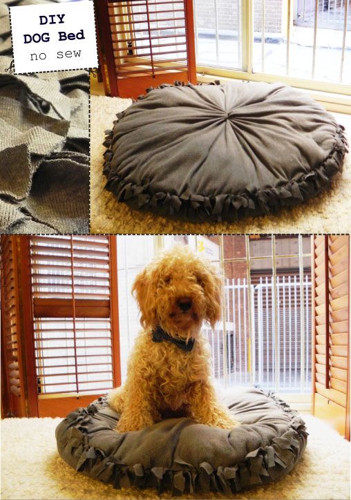 Super Easy No Sew Dog Bed