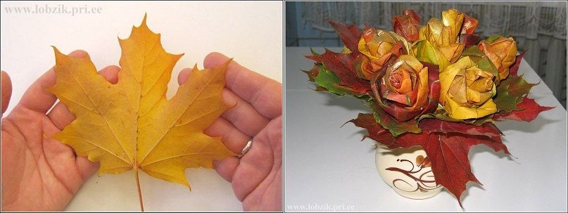 Maple Leaf Roses