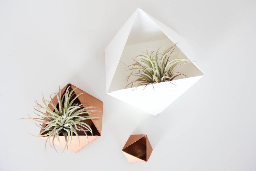 Geometric Holders