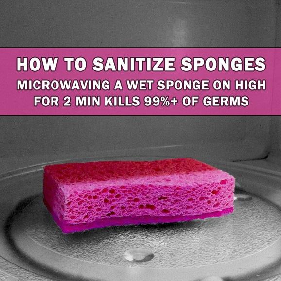 How to Sanitize Sponges