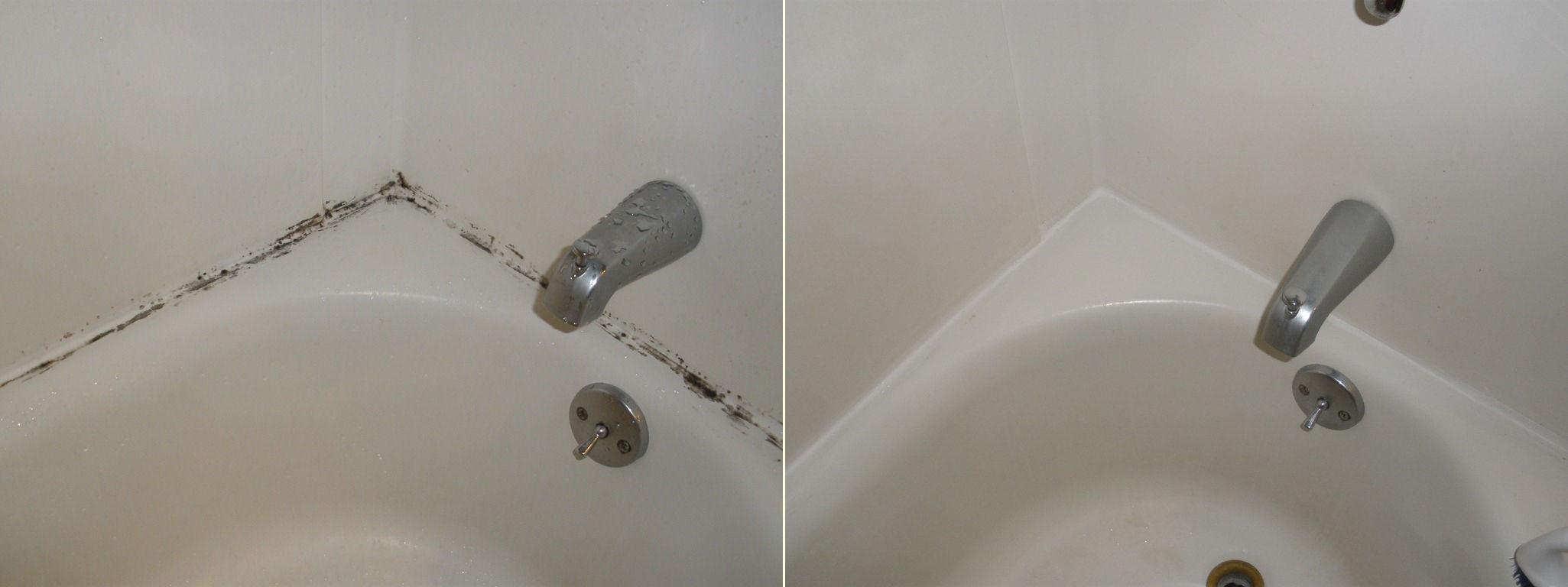 Getting Mold Out of the Shower