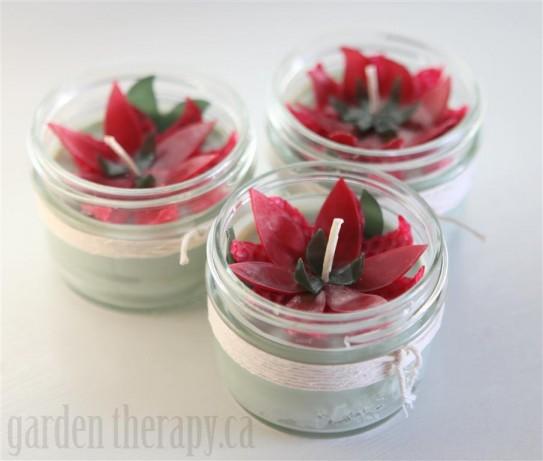 Beeswax Poinsettia Candles