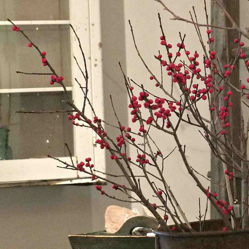Winterberry Branches