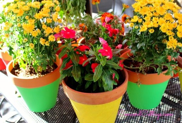 Colorful Flower Pots