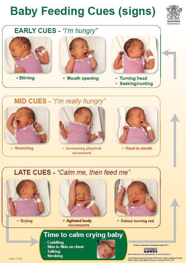 Baby Feeding Cues (signs)