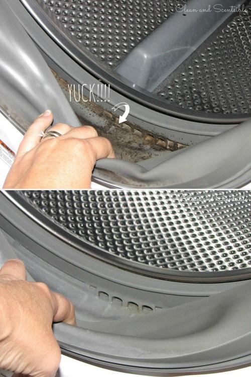 How to get the mold out of your front-loading washer
