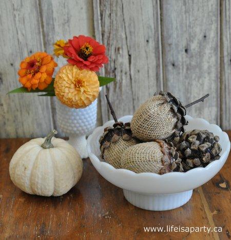 Acorn Craft