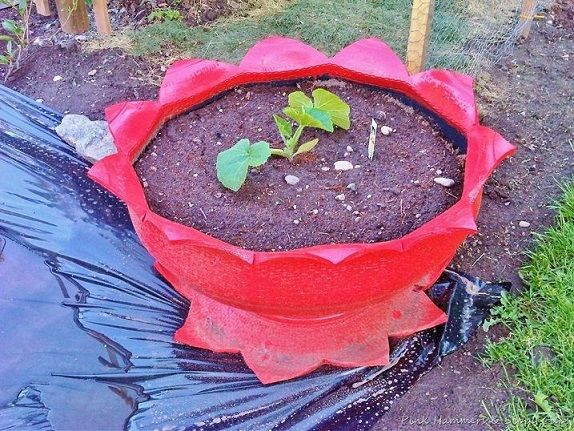 Tire Planter