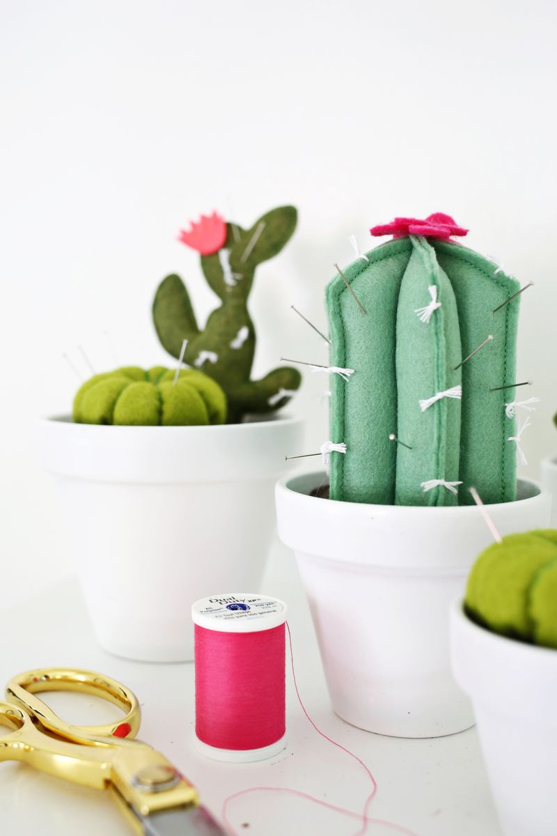 Cactus Pincushion