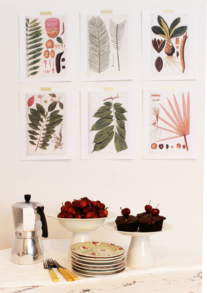 Botanical Prints for Your Wall