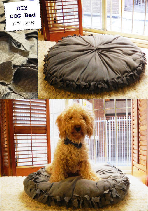 Easy No Sew Dog Bed