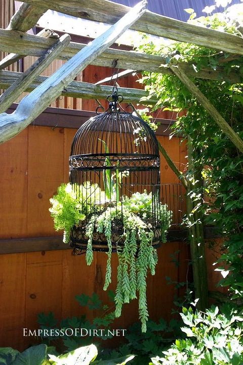 Bird Cage With Succulents