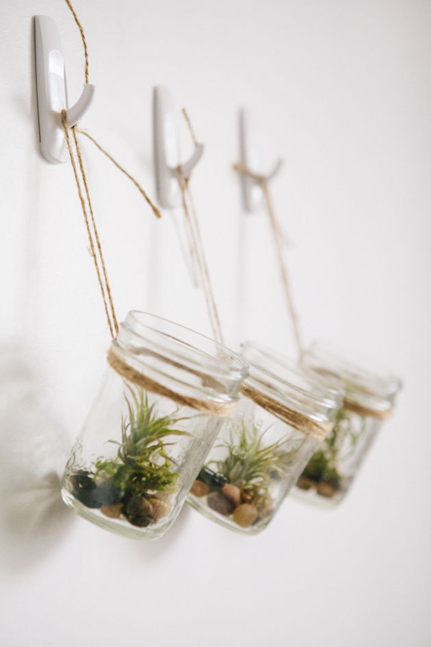 Hanging Mason Jar Planter with Air Plants