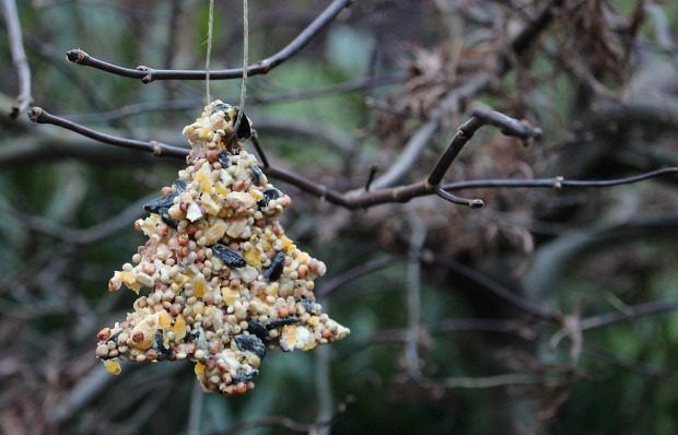 Birdseed Ornaments