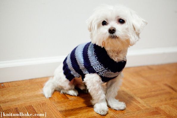 Easy Dog Sweater
