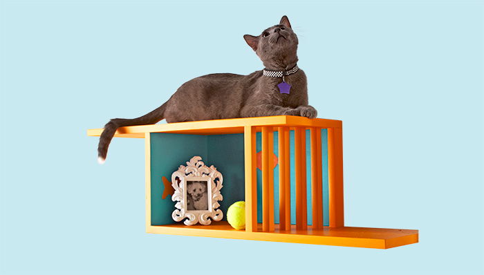 Wall-Mounted Cat Perch