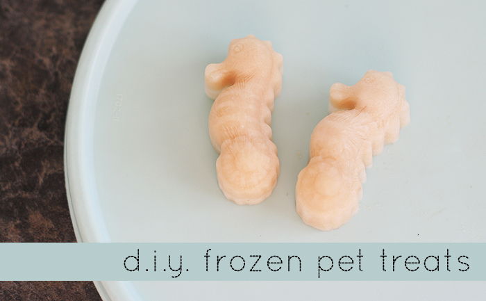 Frozen Pet Treats