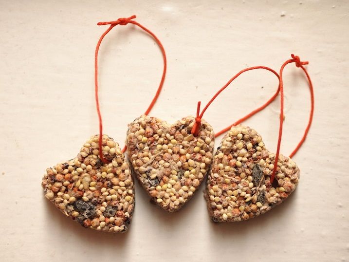 Birdseed Ornaments