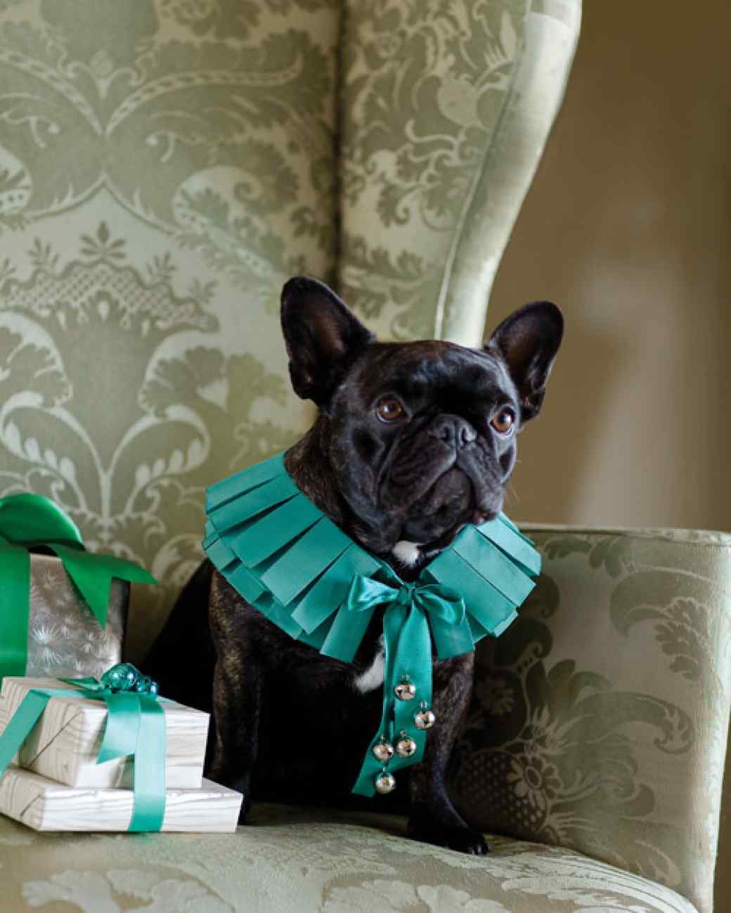 Jingle-Bell Dog Collar