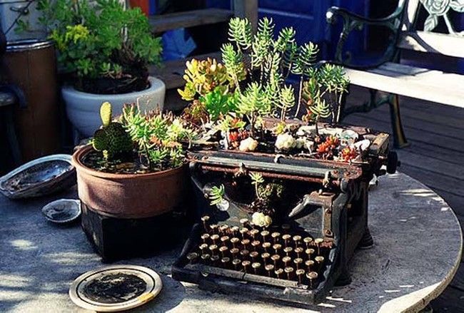 With succulents, an antique typewriter becomes a unique garden display