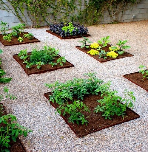 Urbanized Garden Design