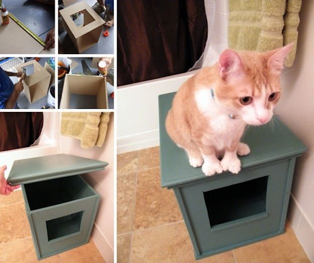 Kitty Litter Box