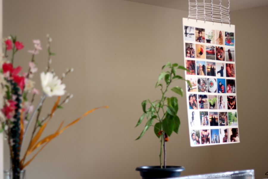 Instagram Wall Hanging