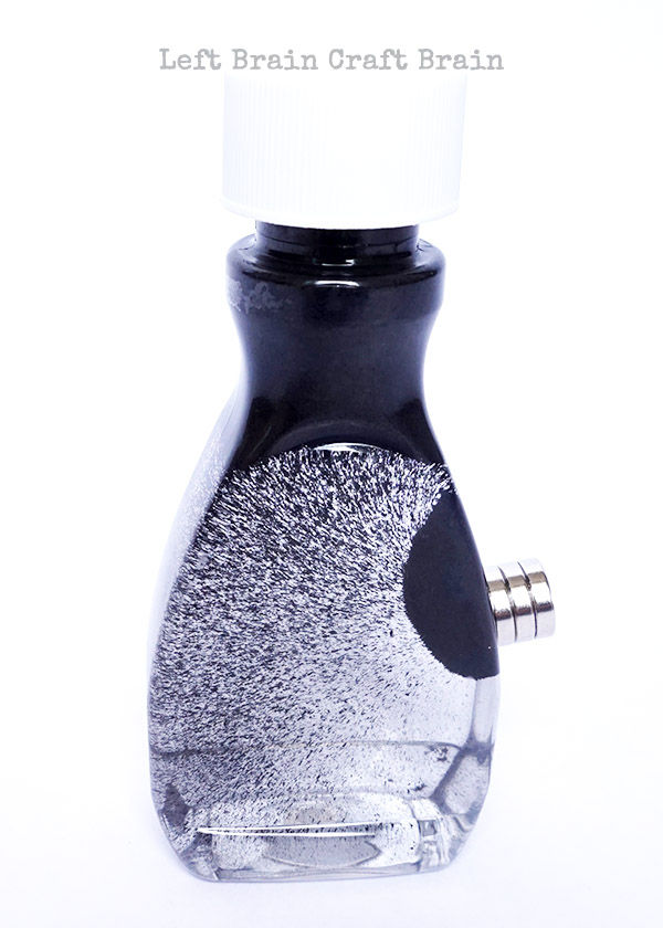 Magnetic Field Sensory Bottle
