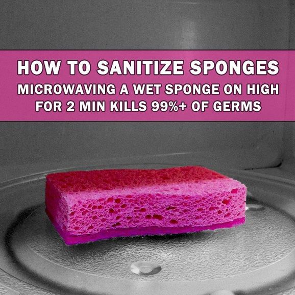 How to Microwave a Kitchen Sponge to Kill Germs