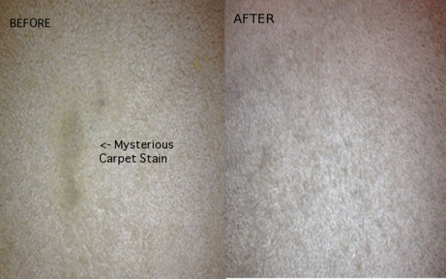 Clean Carpet Stains with an Iron and Vinegar