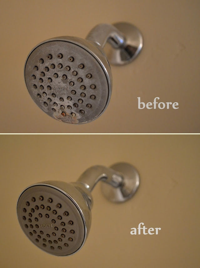 How to Clean a Shower Head