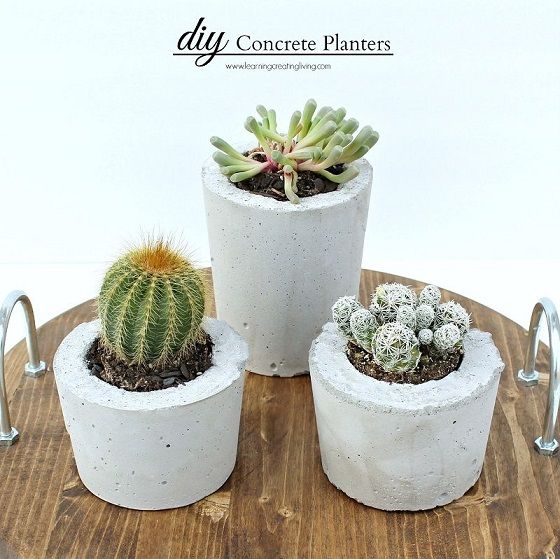 Concrete Planters