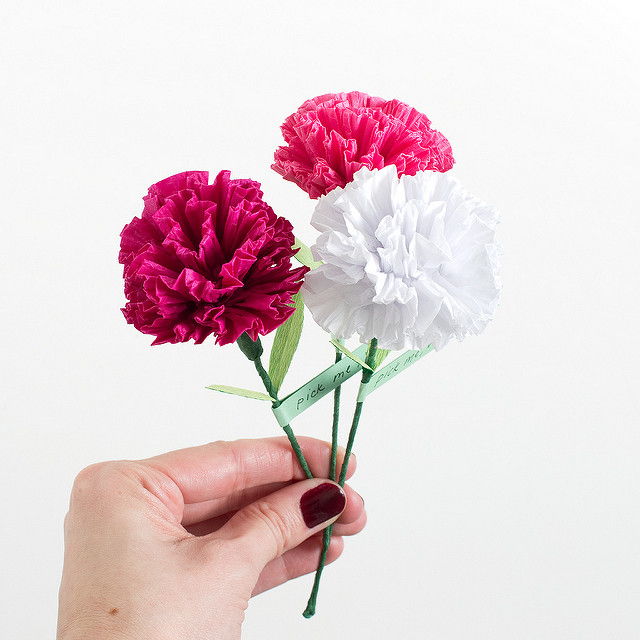 Paper Carnation